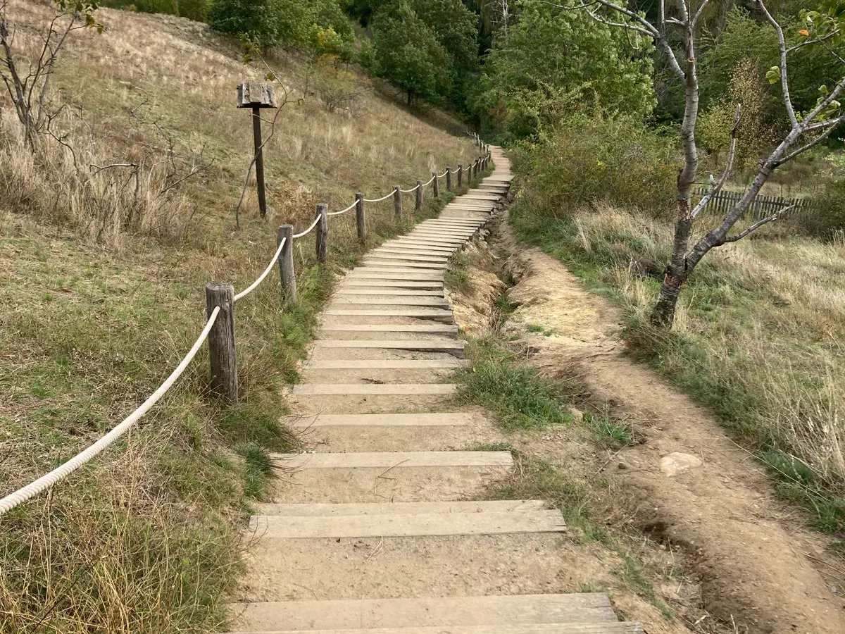 Wanderweg mit Holzstufen und Seilgeländer
